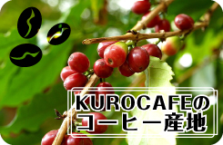 KUROCAFEのコーヒー産地