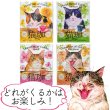 画像9: 【世界猫の日】ねこだらけセット2026 (9)