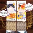 画像2: 【猫の日特別企画】ねこだらけセット2026 (2)