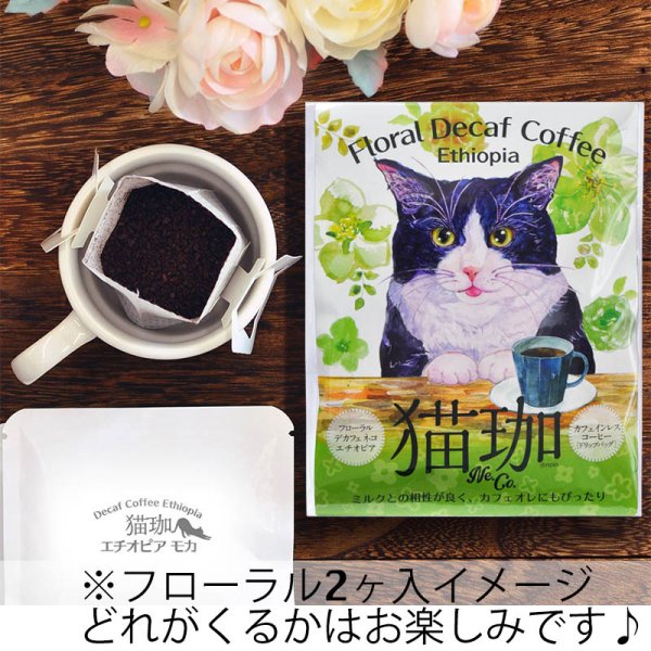 画像11: 【世界猫の日】ねこだらけセット2026 (11)