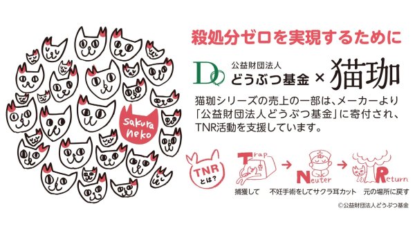 画像6: 黒猫珈　深みのブレンド ドリップバッグ1ヶ入 (6)