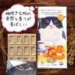 画像7: 【世界猫の日企画】ねこだらけセット2025夏 (7)