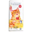 画像5: 猫珈　ホワイトチョコレートシリーズ（内容量／各60ｇ） (5)