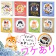 画像1: 【ワケあり】お買い得！猫珈5ケ入り4個セット（20杯分） (1)