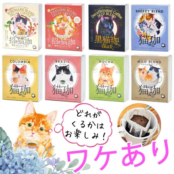 画像1: 【ワケあり】お買い得！猫珈5ケ入り4個セット（20杯分） (1)