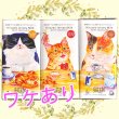 画像1: 【ワケあり】お買い得！猫珈チョコ3種セット (1)