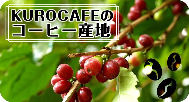 kurocafeのコーヒー産地